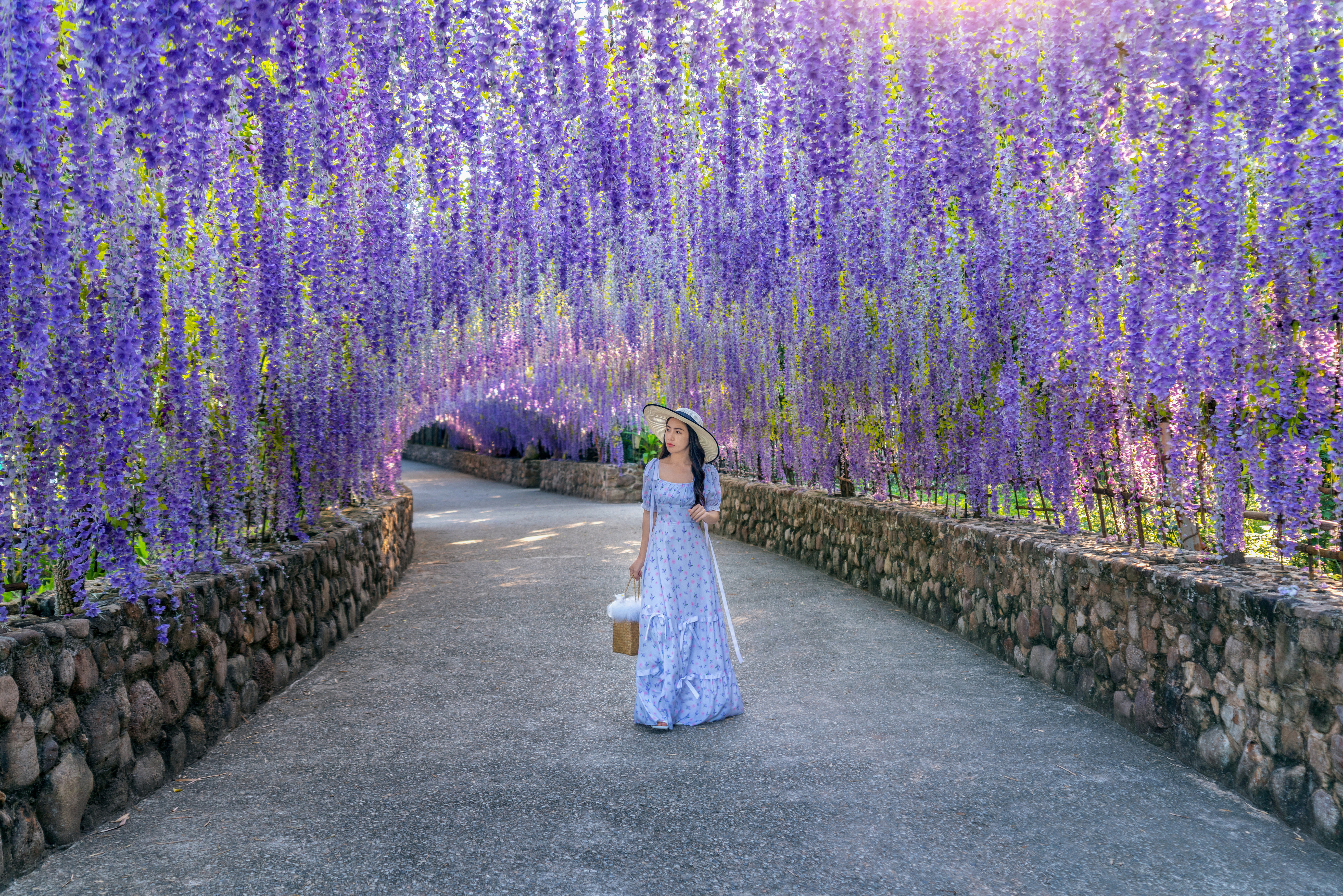 lavender